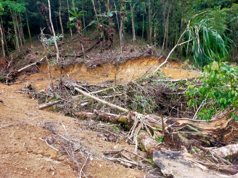 “Ada Mafia Ilegal Logging di Hutan Gunung Bawakaraen dan Lompobattang”