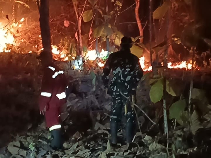 Sinergi TNI-Polri dan Tim Gabungan Padamkan Karhutla Seluas 15 Hektare di Parangloe