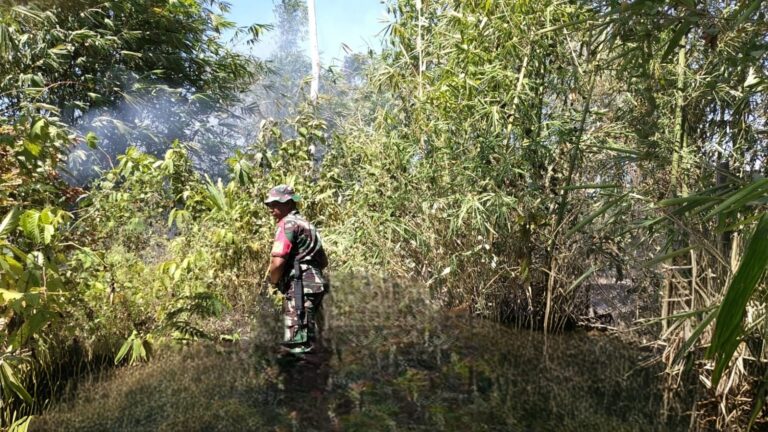 Sinergi TNI-Polri dan Warga Padamkan Karhutla di Parangloe dan Pallangga