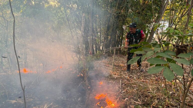 Sinergi Manggala Agni dan TNI Padamkan Api di Parangloe Gowa