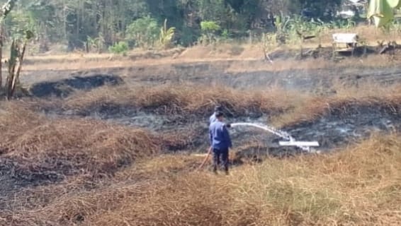 Babinsa dan Damkar Padamkan Kebakaran Lahan 1 Hektare di Sokkolia Gowa