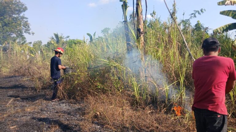 Pakai Alat Seadanya, Babinsa dan Warga Padamkan Kebakaran Lahan di Pallangga
