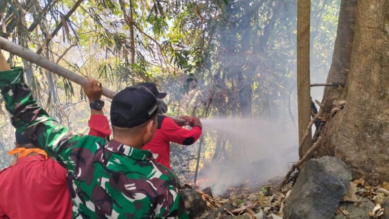 Gerak Cepat Laporan Warga, Babinsa dan Manggala Agni Padamkan Kebakaran Lahan di Gowa