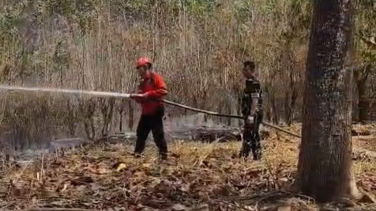 Babinsa dan Warga Padamkan Kebakaran Lahan 1 Hektare di Pattallassang Gowa