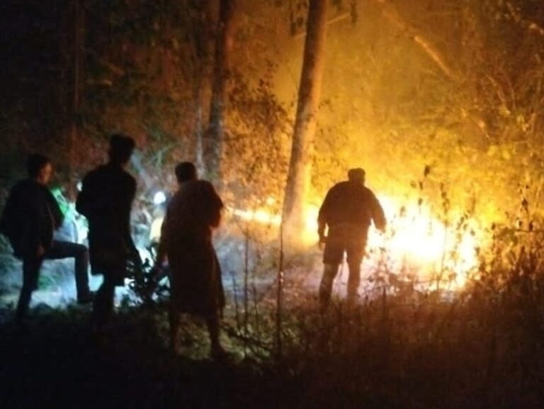 Kebakaran Lahan 1,5 Hektare di Biringbulu Gowa Berhasil Dipadamkan