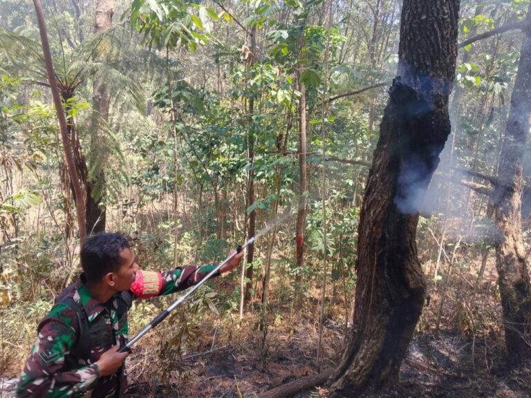 Babinsa dan Warga Padamkan Kebakaran 3 Hektare Lahan di Tinggimoncong Gowa