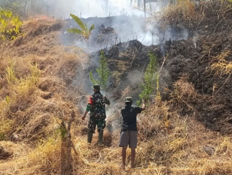 Sinergi TNI-Polri Bersama Manggala Agni dan Warga Padamkan Kebakaran Lahan di Gowa