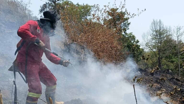 Gerak Cepat Padamkan Kebakaran Lahan di Gowa, Sinergi TNI dan Manggala Agni Buat Hasil Nyata