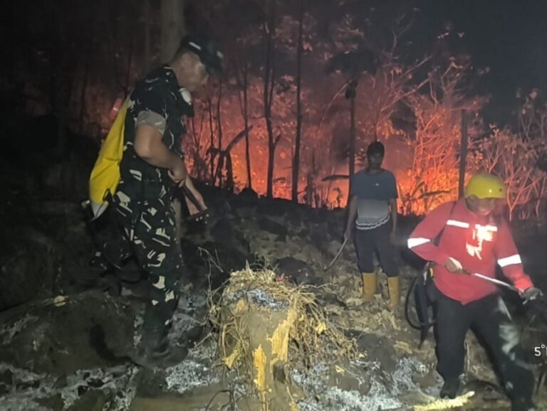 Aksi Heroik Personel Gabungan dan Masyarakat Padamkan Karhutla di Kabupaten Gowa