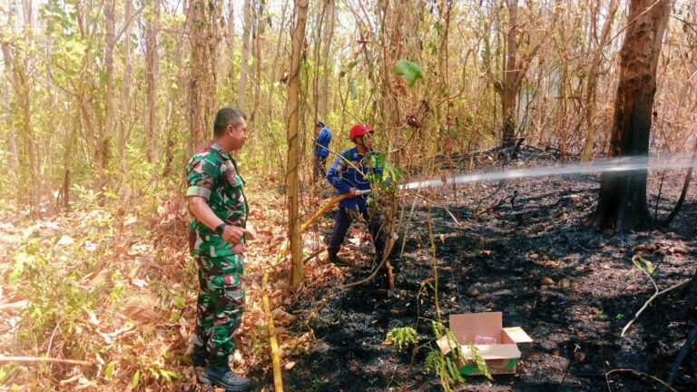Tim Gabungan Padamkan Kebakaran Lahan 3 Hektare di Bontonompo Gowa