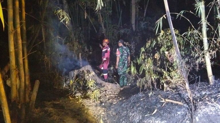 Babinsa dan Damkar Gowa Padamkan Kebakaran Lahan Seluas 50 Hektare
