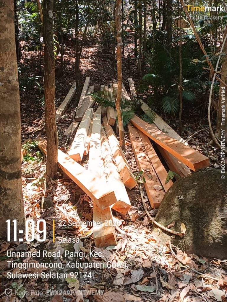 Dugaan Pembalakan Hutan di Gowa, Somasi Desa Desak Polda Sulsel Turun Tangan