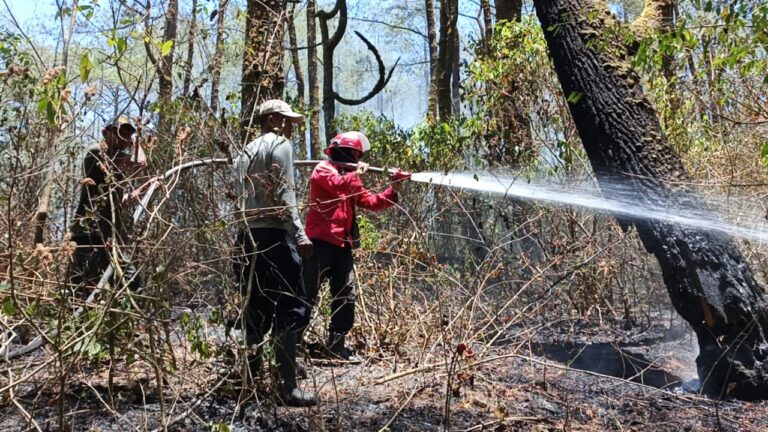 Kebakaran Lahan 7 Hektare di Malino Gowa Berhasil Dipadamkan
